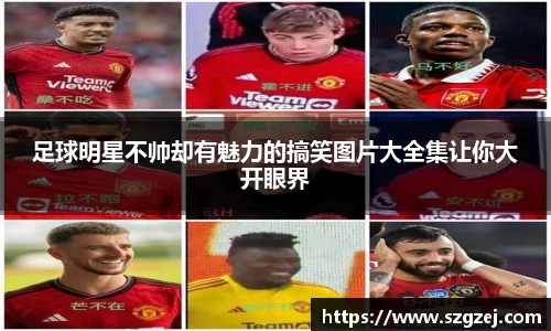 zoty中欧官方网站