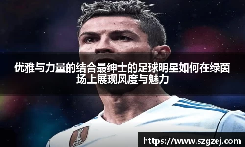 zoty中欧官方网站