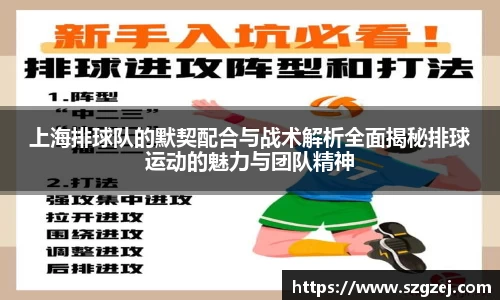 上海排球队的默契配合与战术解析全面揭秘排球运动的魅力与团队精神